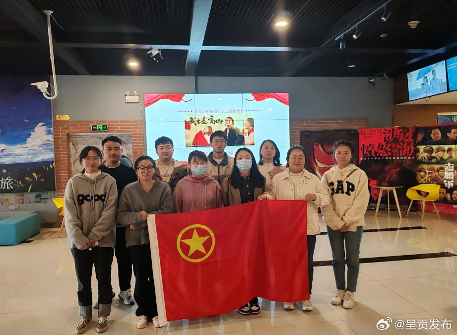 致敬时代楷模 传承榜样力量—柏枝营社区党总支开展《我本是高山》观影活动_http://www.mainten.cn_cns_第1张