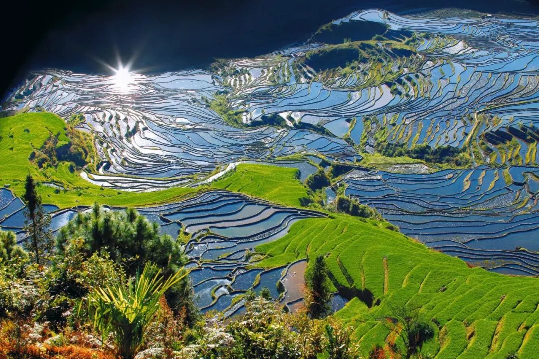 红河文旅