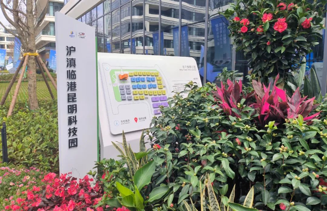 云南省人民政府网