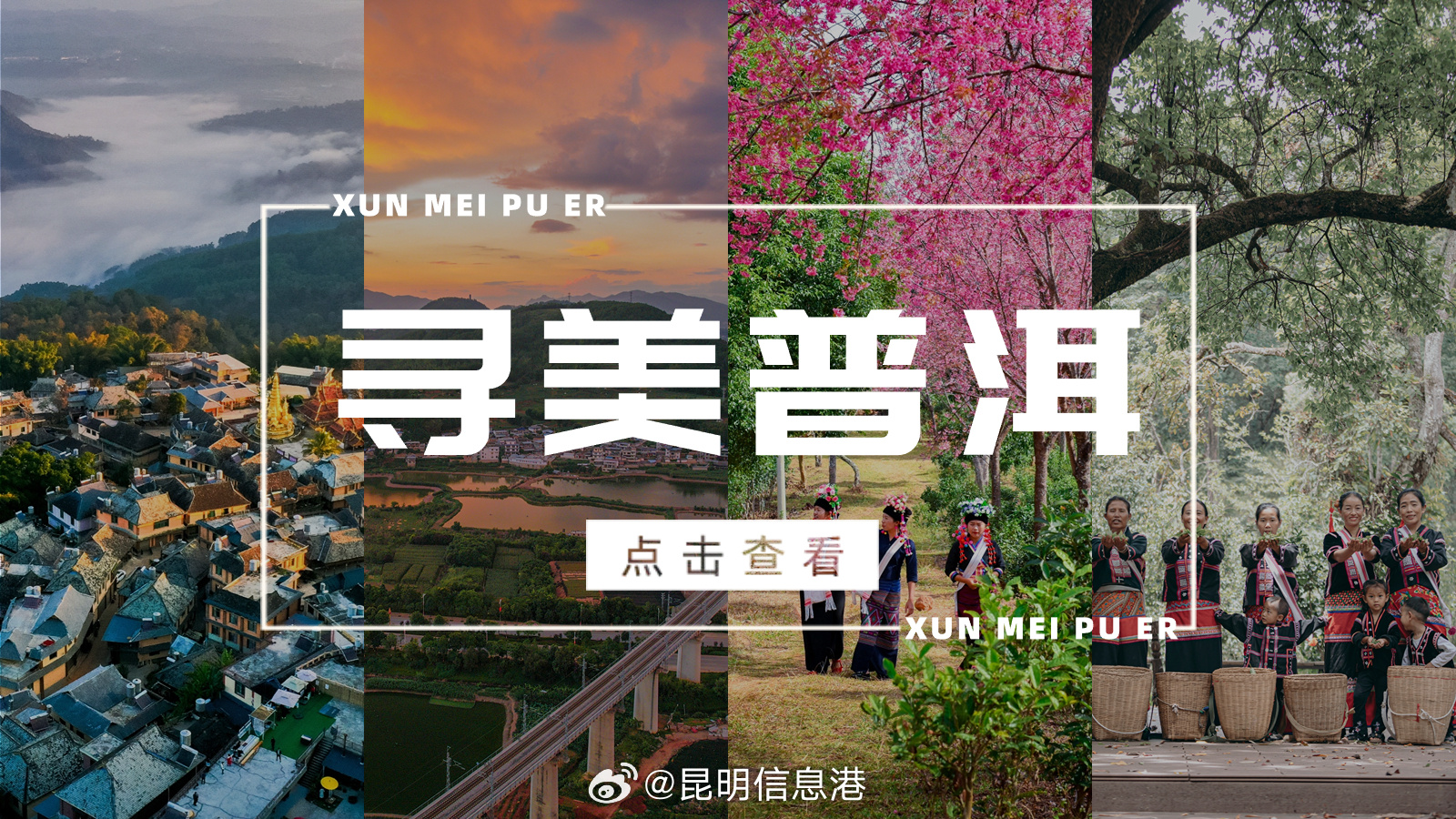 昆明信息港微博