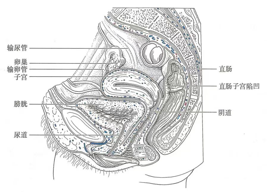 曲靖市妇幼保健院