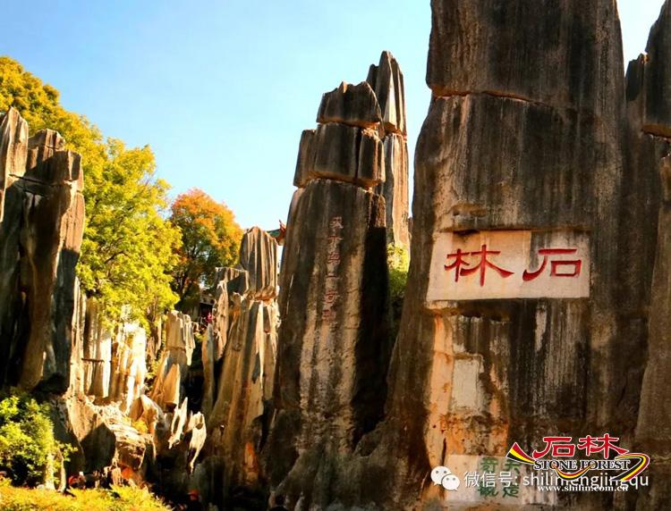 石林旅游网