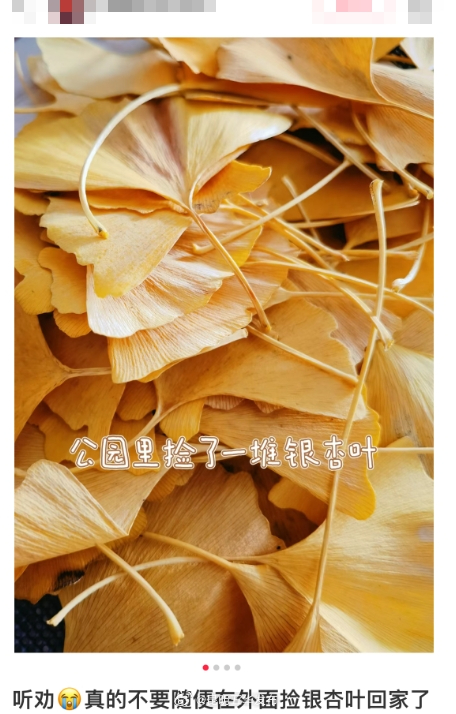 冬日昆明街头常见 切忌乱捡食_http://www.mainten.cn_cns_第3张