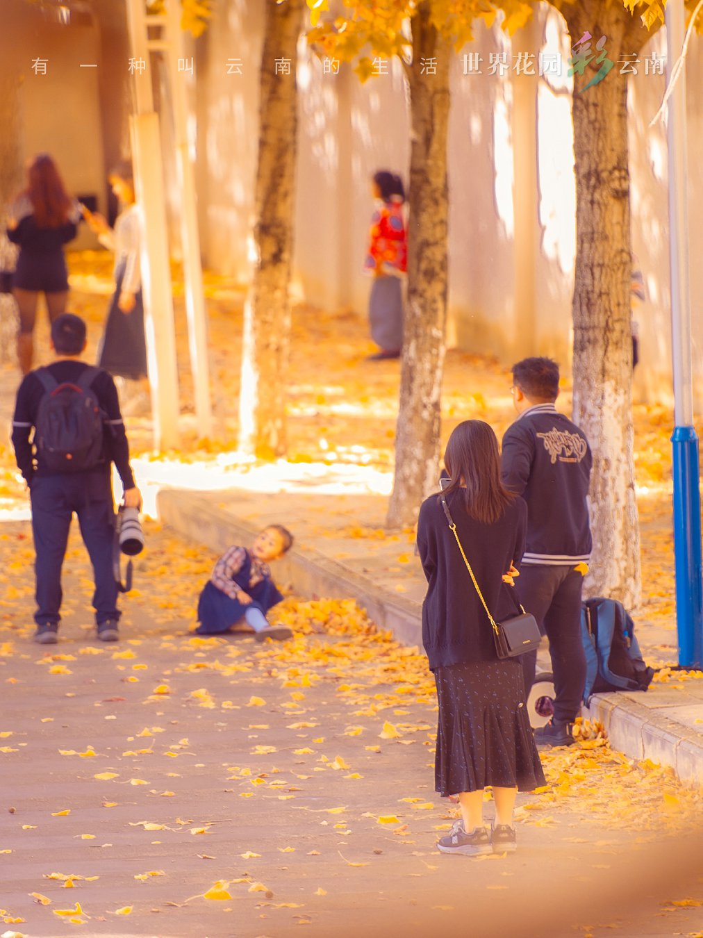 云南省文化和旅游厅