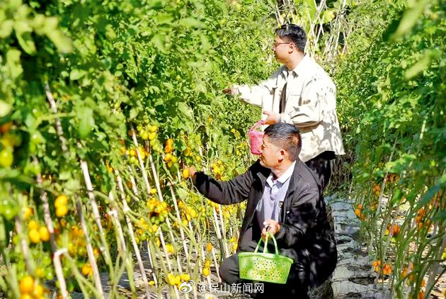 昌宁13.77万亩蔬菜实现销售收入6.3亿元