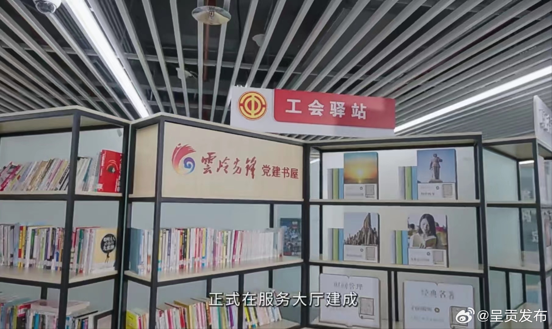 呈贡发布