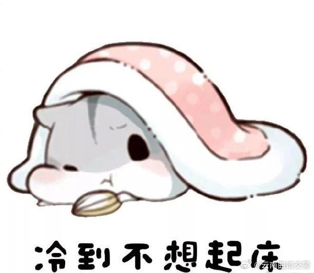 冷冷冷！曲靖多地气温降至0℃以下！最低气温前五都在会泽！