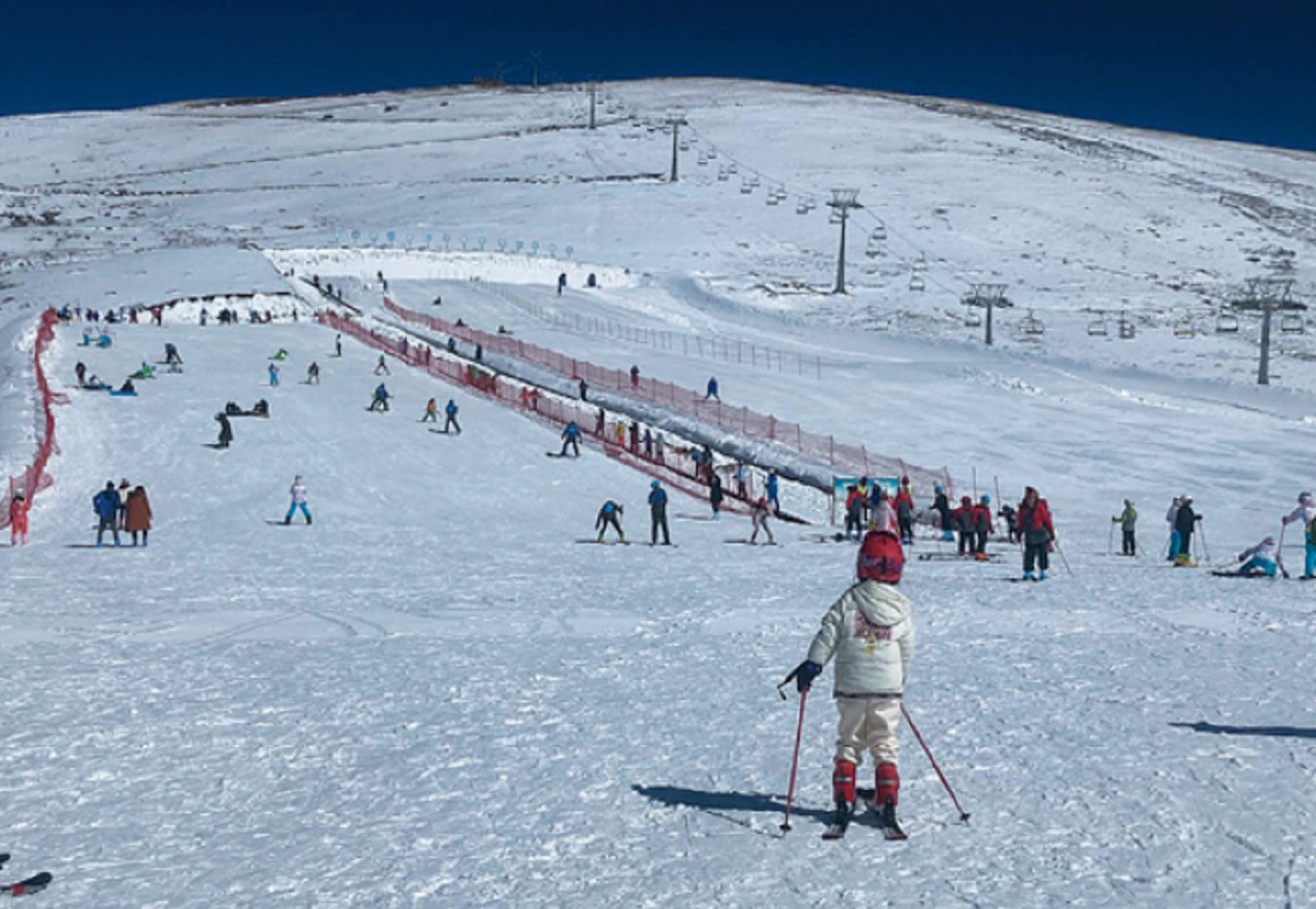 云南省文化和旅游厅