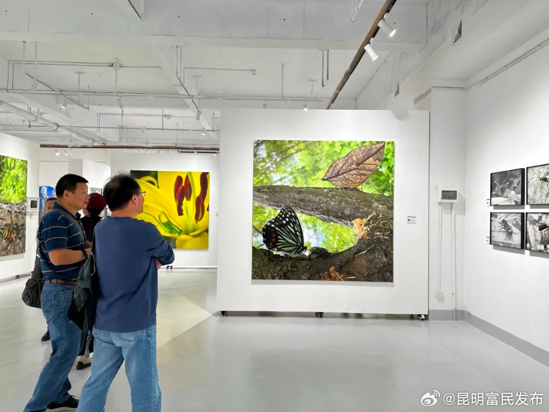 昆明富民发布