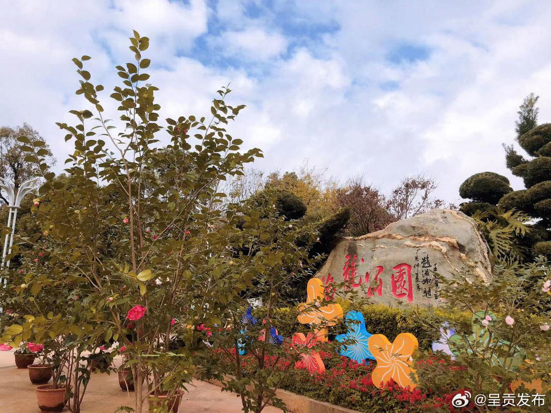 呈贡城管诚挚邀请您共赴花海盛宴