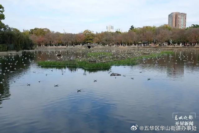 五华区华山街道办事处