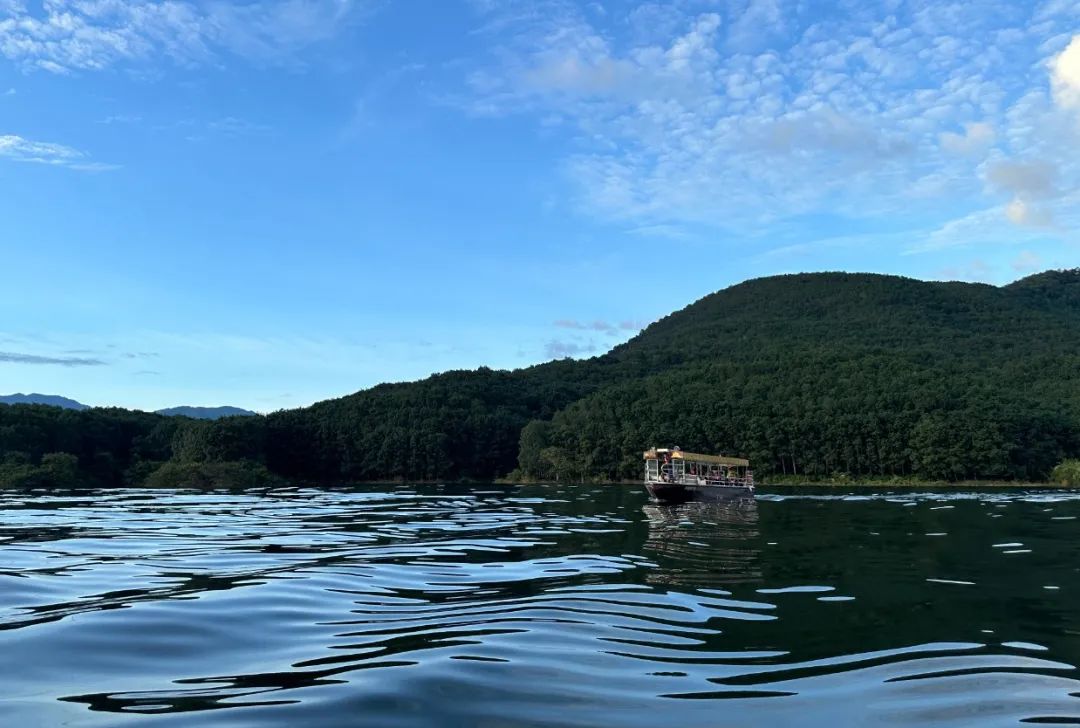 西双版纳望天树景区