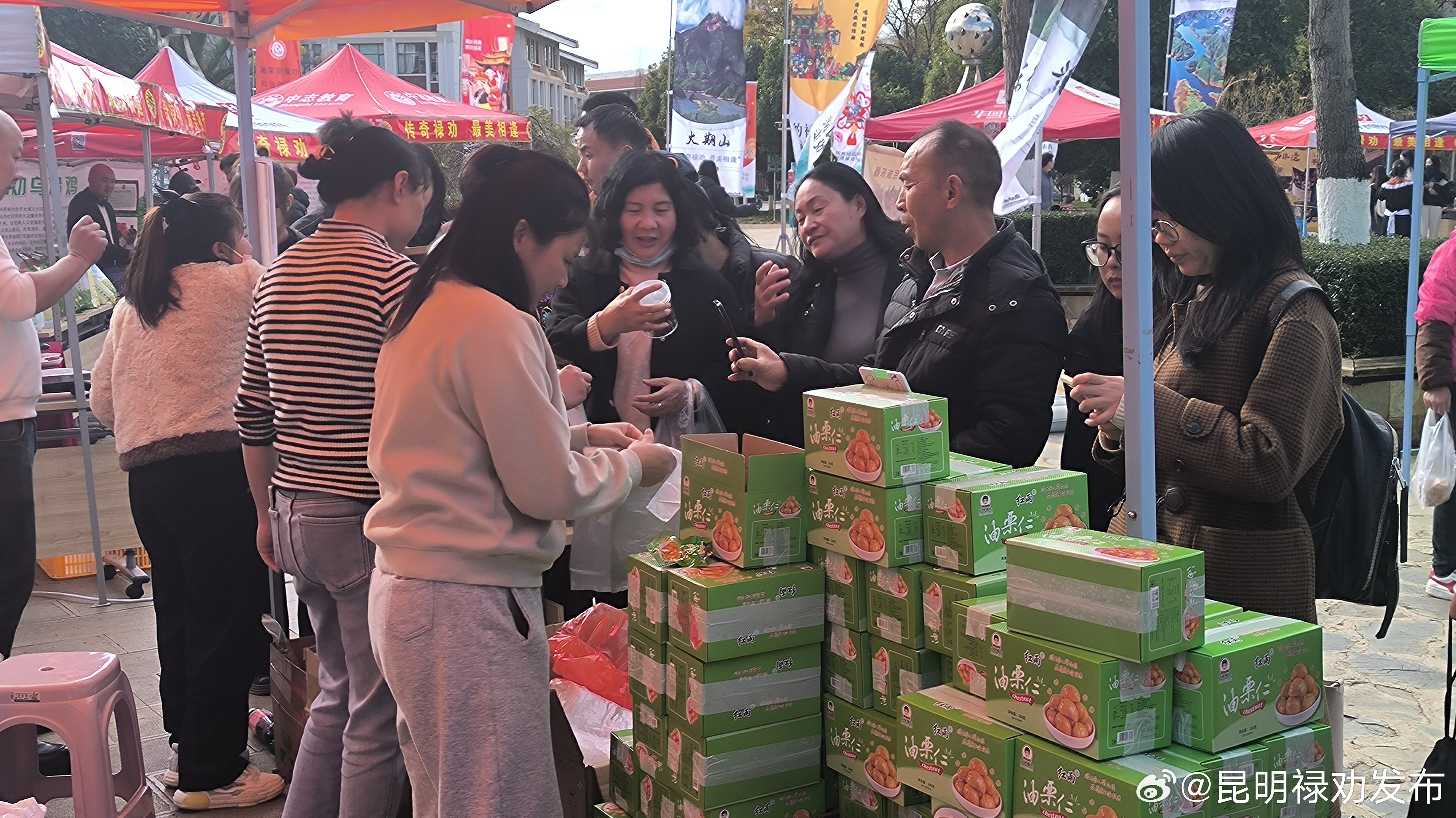昆明禄劝发布