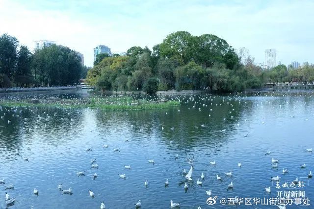 五华区华山街道办事处
