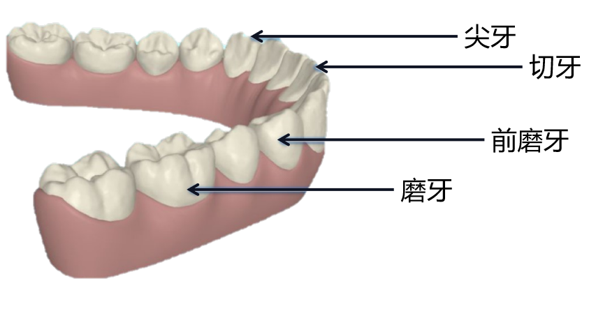 昆明医科大学附属口腔医院
