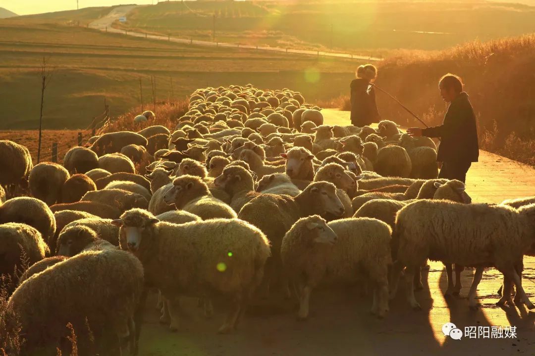 云南省文化和旅游厅