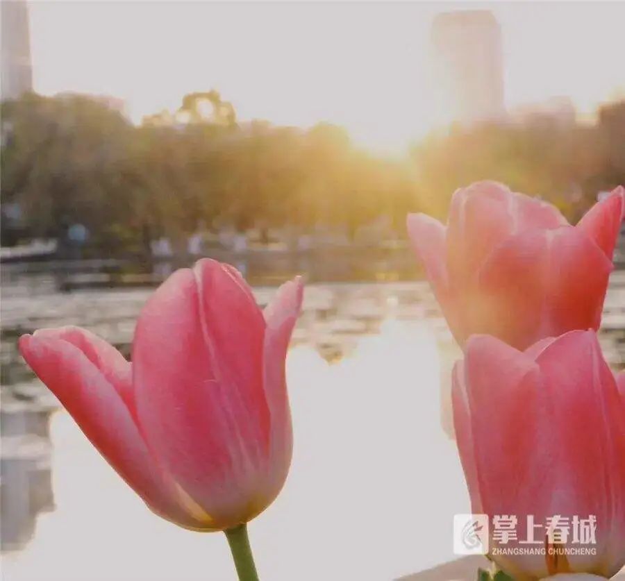 昆明文旅