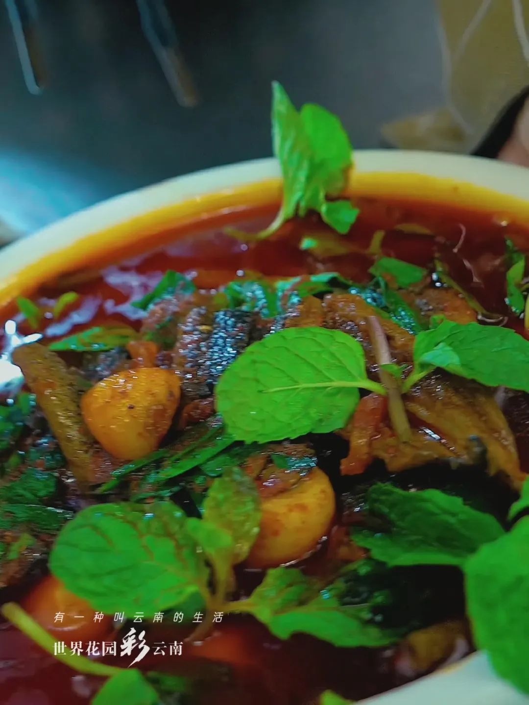 云南省文化和旅游厅