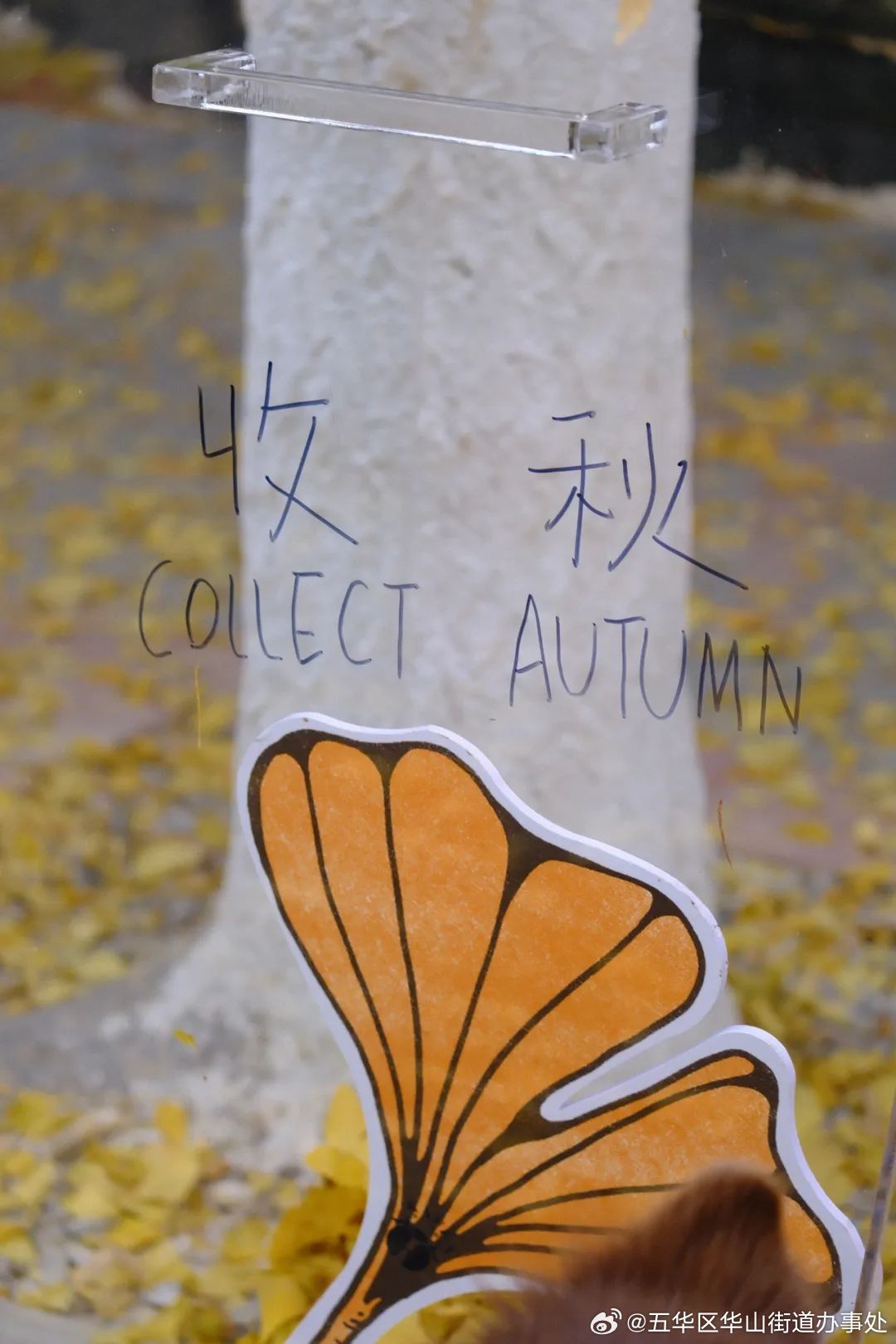 第四届银杏艺术节 | 2023的最后20天，我们一起取取暖_http://www.mainten.cn_cns_第4张