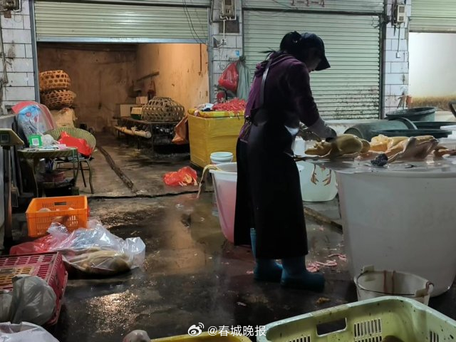 开屏跑腿｜半夜鸡叫，污水横流！记者凌晨走访昆明这个建材市场发现……