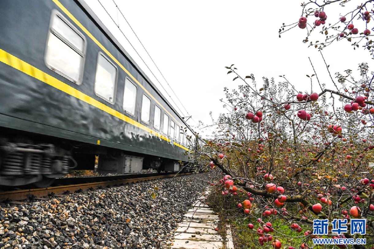 云南省文化和旅游厅