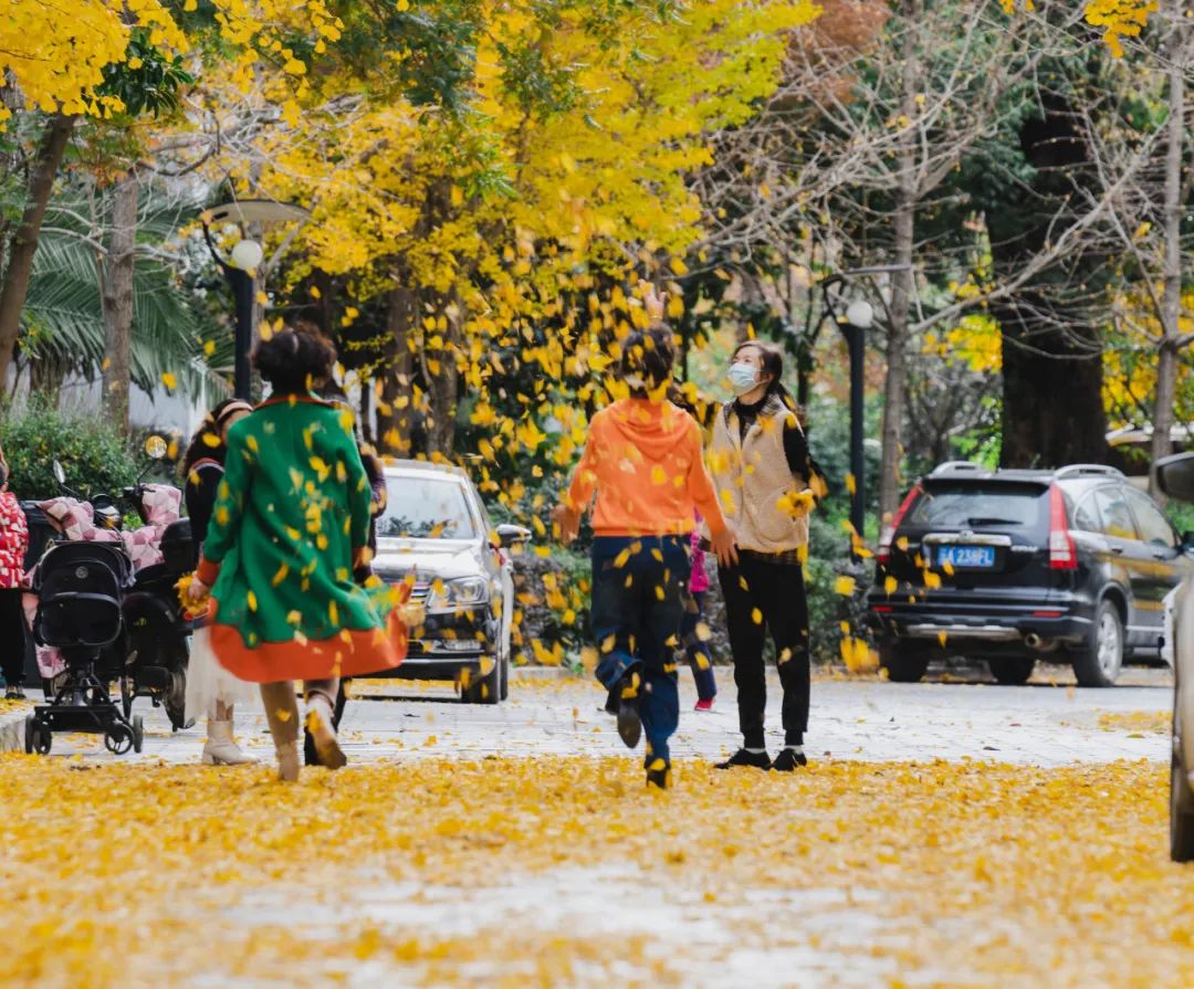 晋宁诗意的栖居地