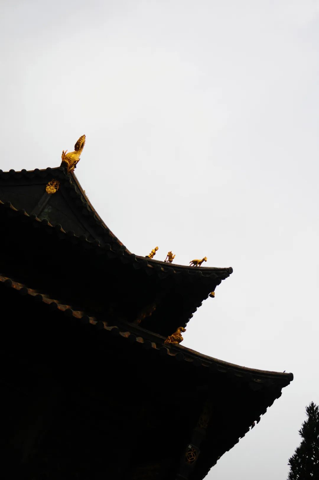 繁霜霏霏，铜瓦飞檐，老树枯藤，仕女爱了~_http://www.mainten.cn_cns_第5张