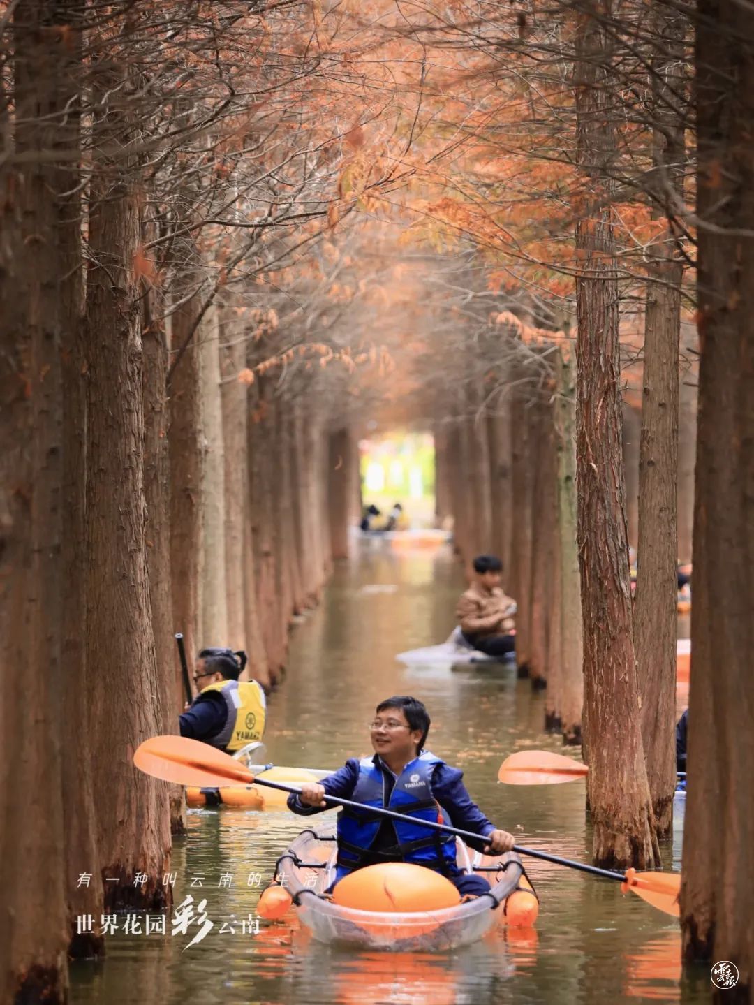 云南省文化和旅游厅