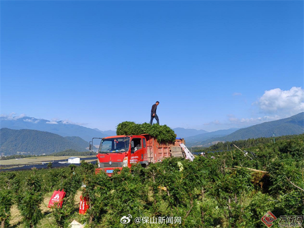 保山新闻网