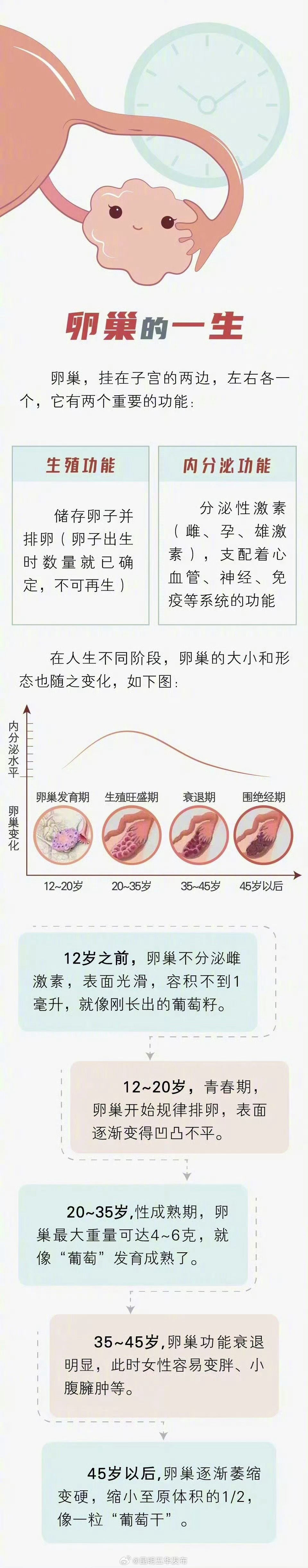 卵巢变老全过程_http://www.mainten.cn_cns_第1张