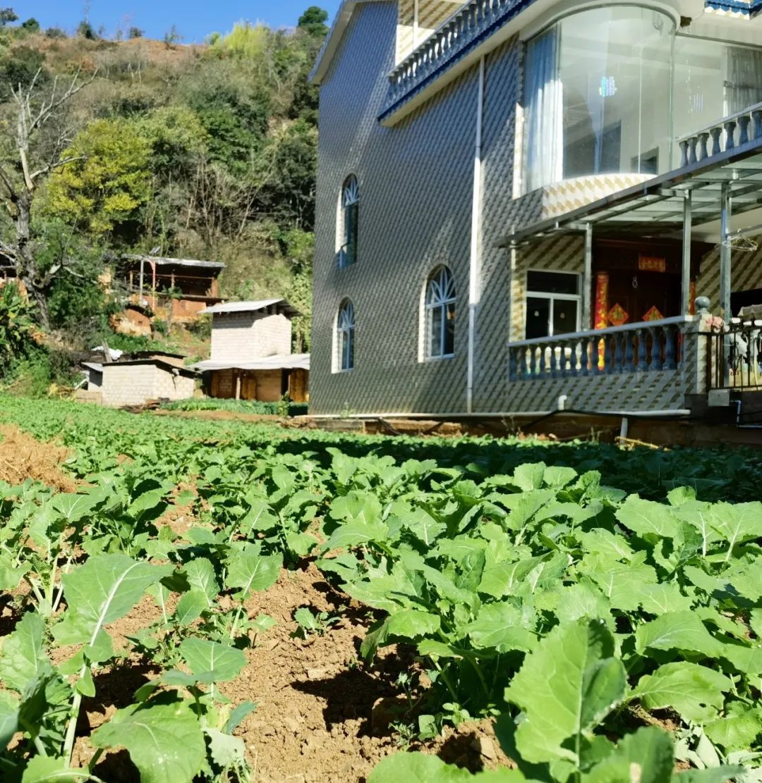 晋宁诗意的栖居地