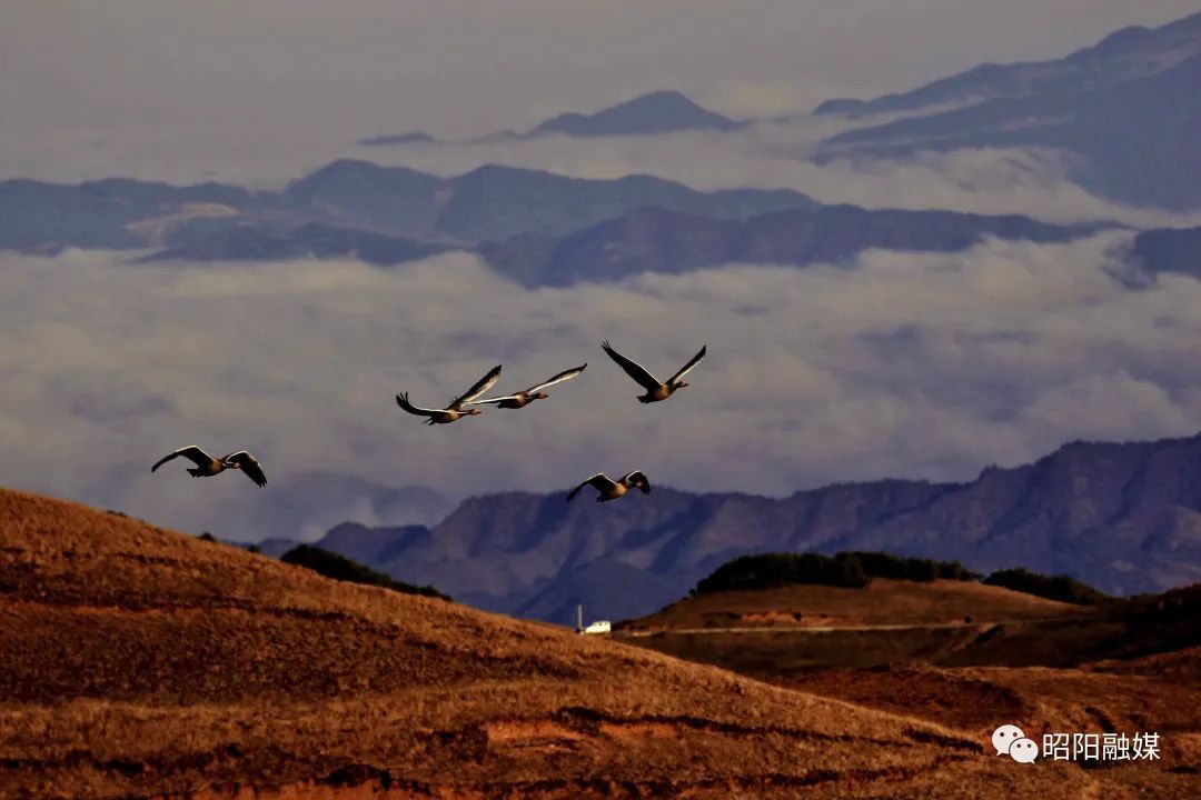 云南省文化和旅游厅
