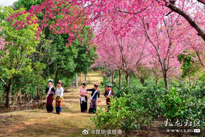 昆明信息港微博