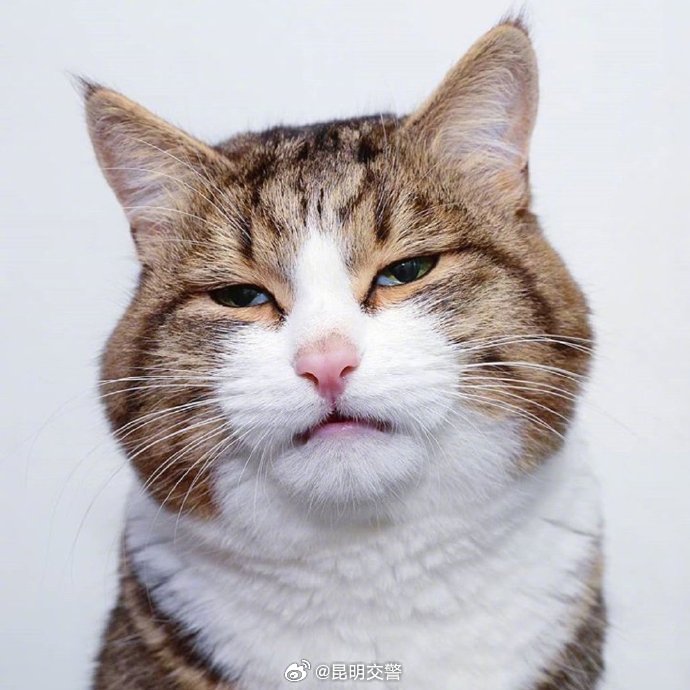 昆明交警