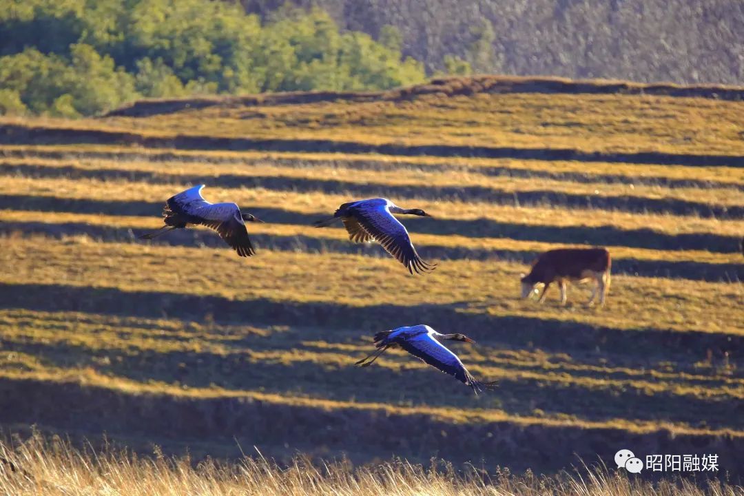 云南省文化和旅游厅