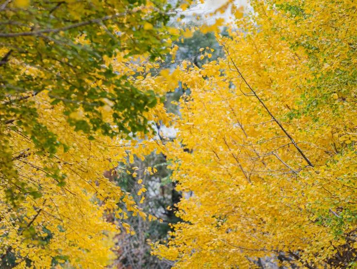 晋宁诗意的栖居地