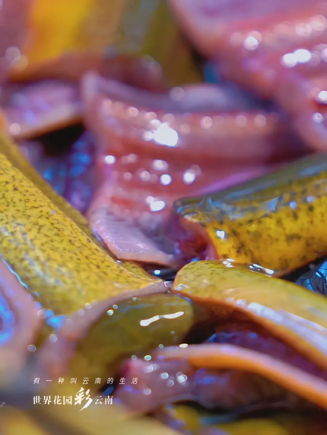 云南省文化和旅游厅