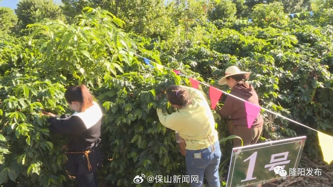 保山新闻网