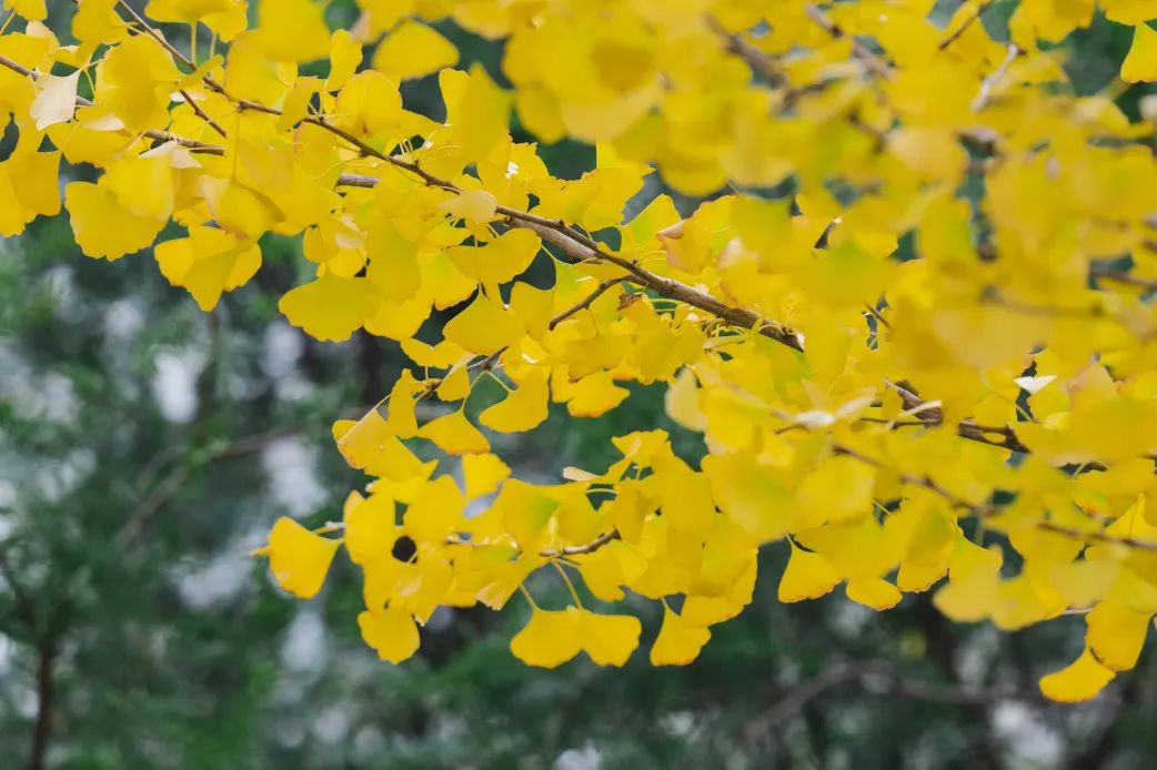 晋宁诗意的栖居地