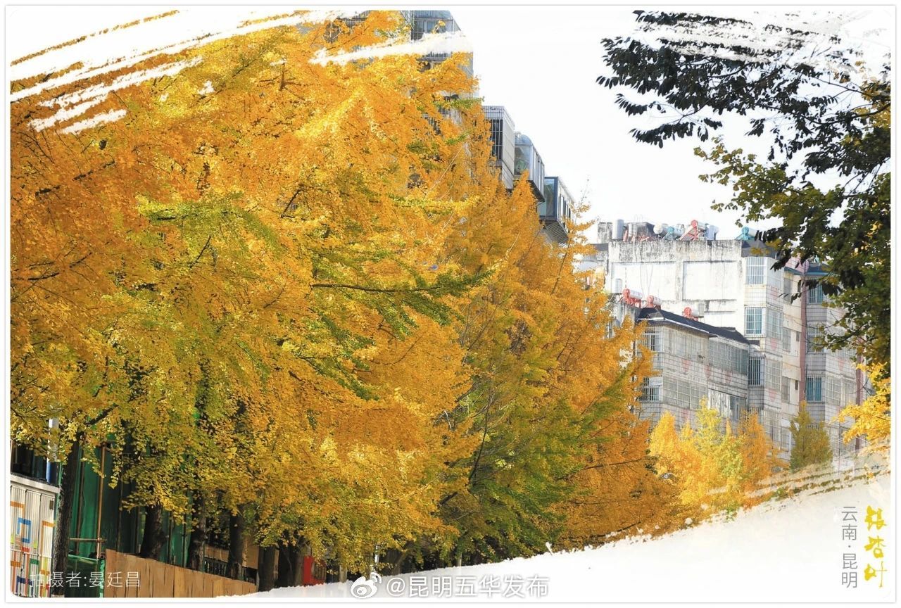 昆明五华发布
