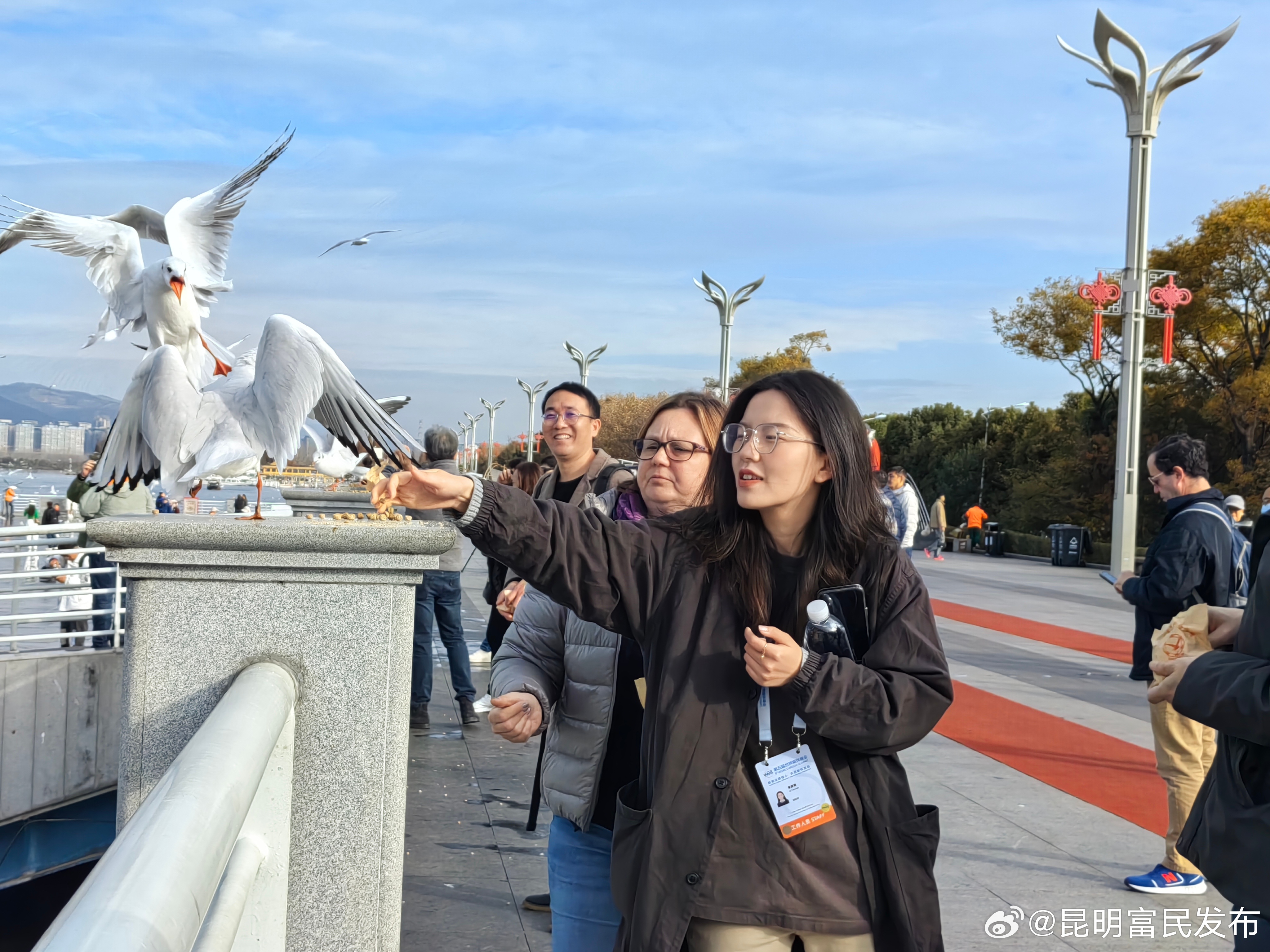 世界媒体峰会 | 中外嘉宾滇池大坝喂鸥，民族村跳竹竿舞，在昆明老街买买买