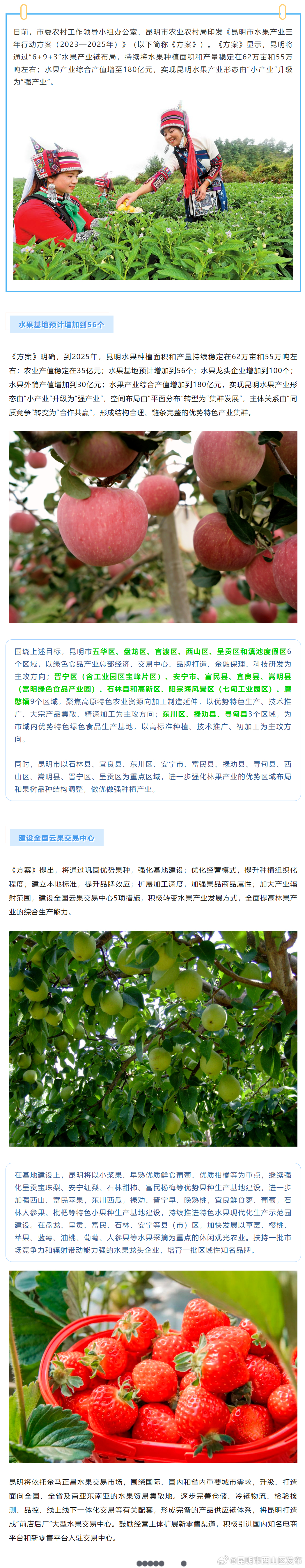 昆明布局“6+9+3”水果产业链