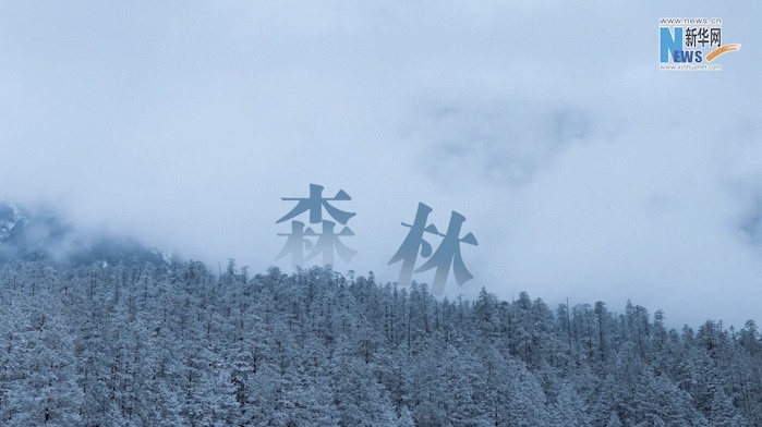 云南省文化和旅游厅