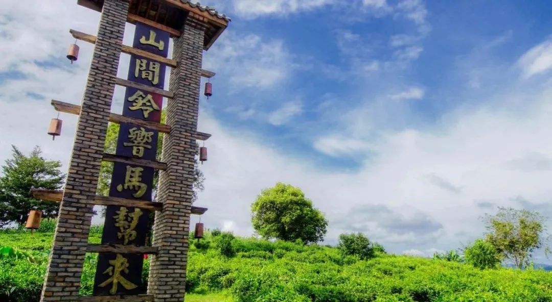 云南省文化和旅游厅