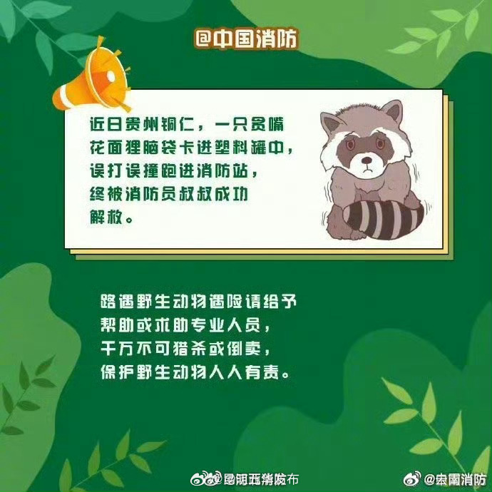 昆明五华发布