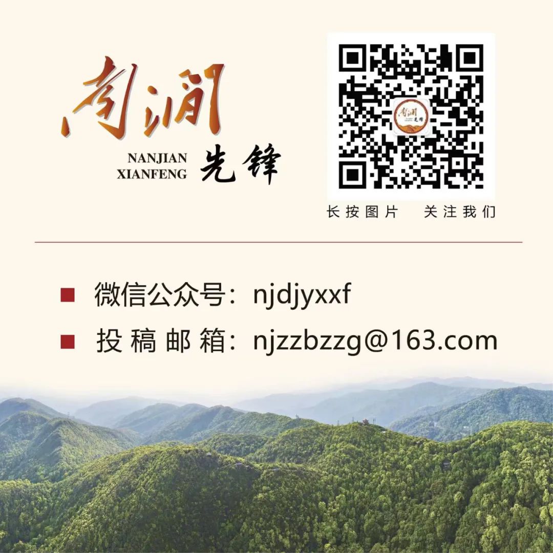 南涧党建彝乡先锋