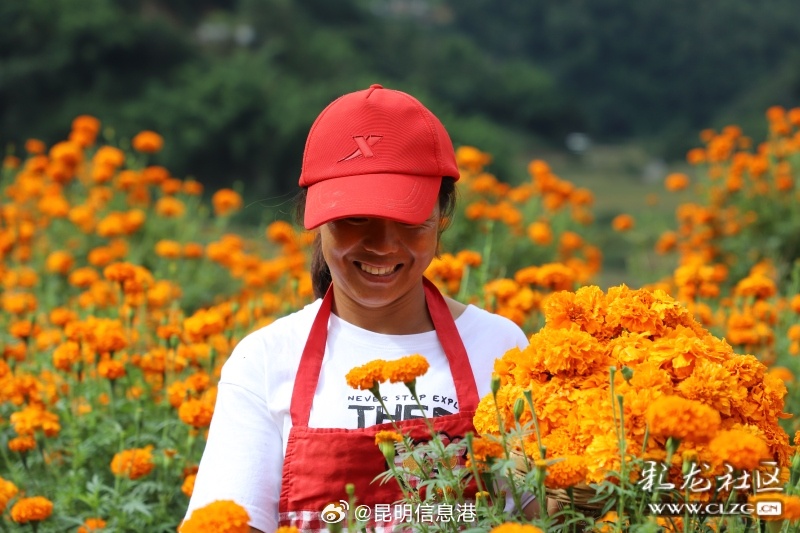 昆明信息港微博