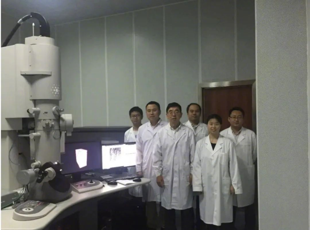 厉害！我国纳米金属研究领域取得新突破_http://www.mainten.cn_cns_第6张