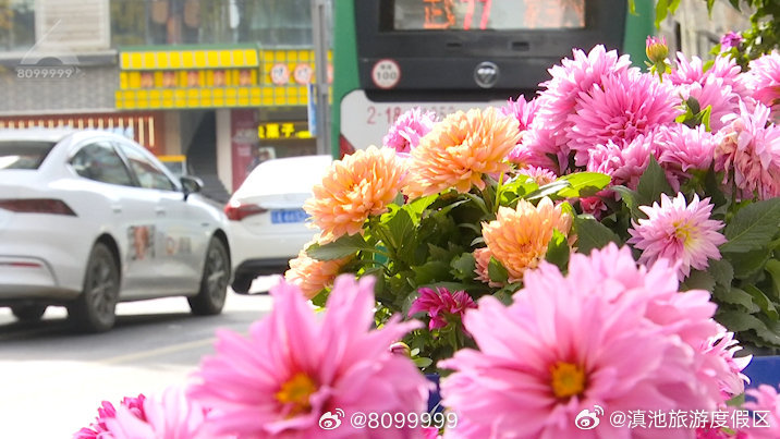 滇池旅游度假区