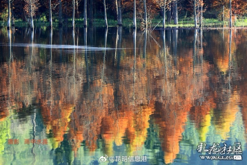 昆明信息港微博